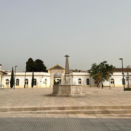 Brand New Studio With Terrace And Bbq Close To City Center Málaga Exterior foto